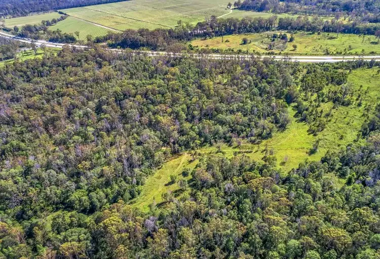 Sixth view of Homely rural property listing, Lot 1 Pacific Highway, Mororo NSW 2469