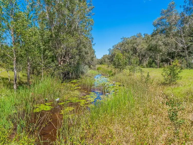 Fifth view of Homely rural property listing, Lot 2 Byrons Lane, Tyndale NSW 2460