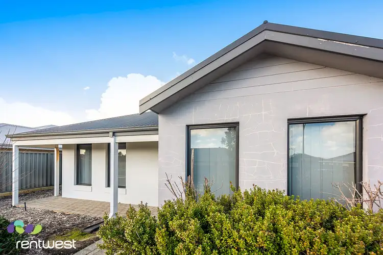 Fourth view of Homely house listing, 19 Saladin Way, Baldivis WA 6171