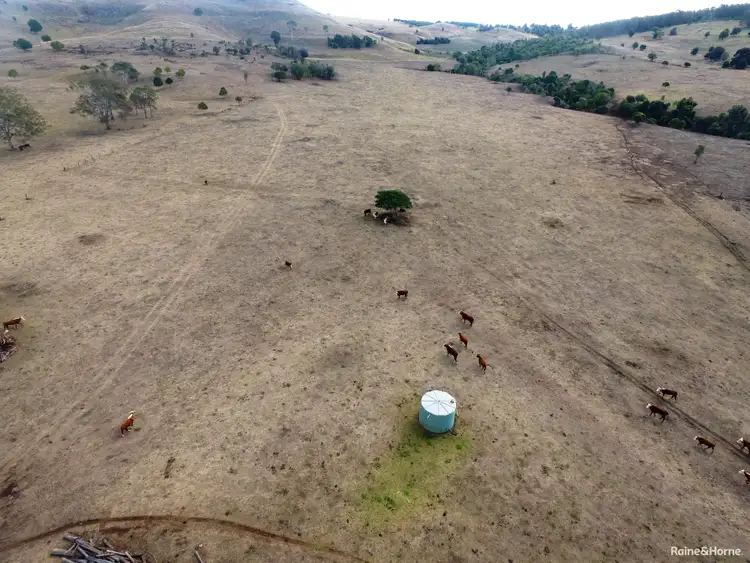 Third view of Homely rural property listing, 774 East Wooroolin rd (corner corndale rd ), Corndale QLD 4610