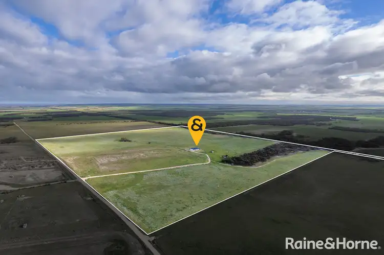 Second view of Homely rural property listing, 1746B Chaunceys Line Road, Brinkley SA 5253