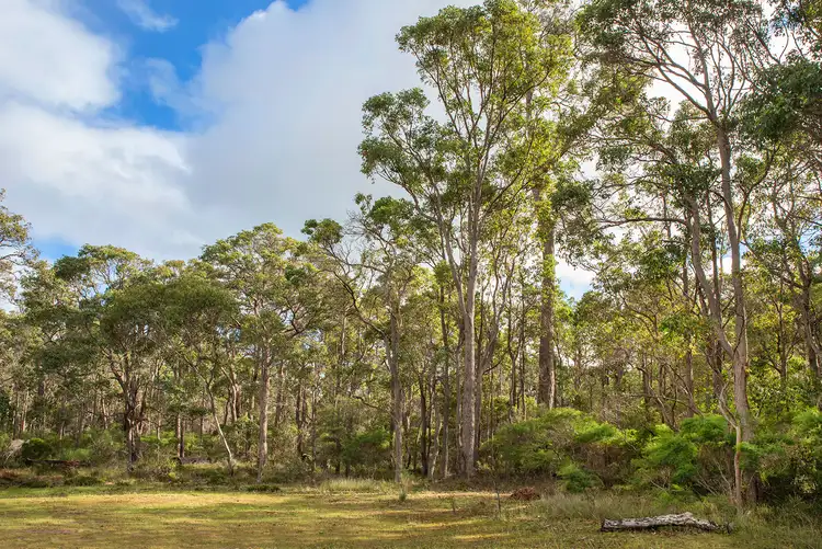 Sixth view of Homely land listing, Lot 24 Hideaway Entrance, Cowaramup WA 6284