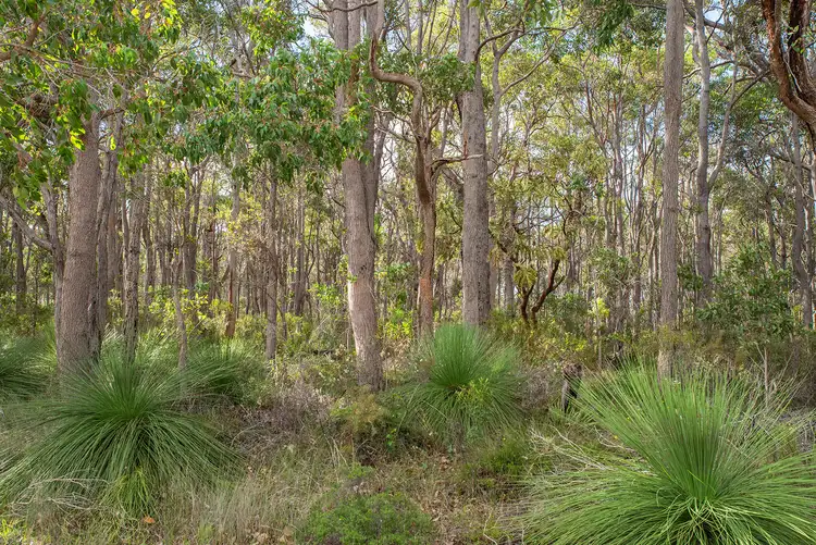 Seventh view of Homely land listing, Lot 24 Hideaway Entrance, Cowaramup WA 6284