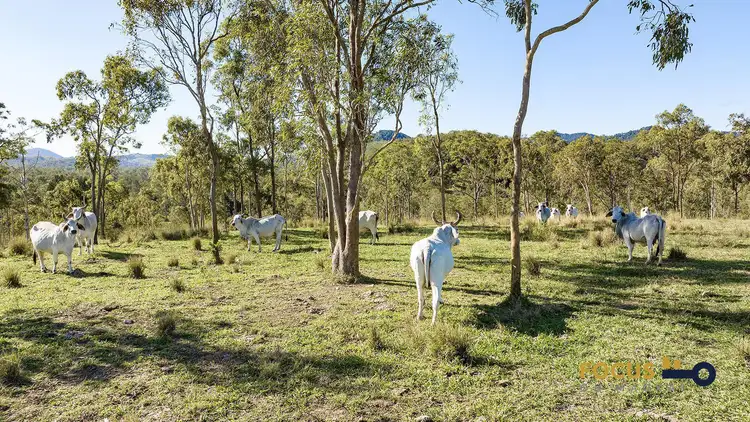Fifth view of Homely house listing, 125 Lawrie Road, Sarina Range QLD 4737