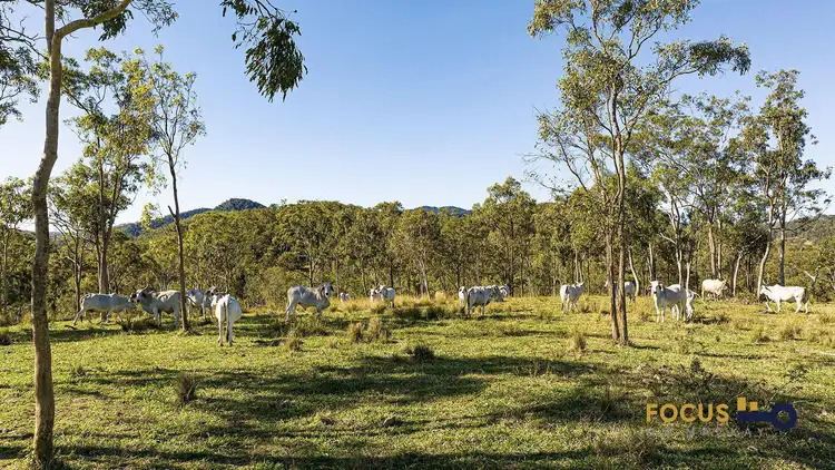 Sixth view of Homely house listing, 125 Lawrie Road, Sarina Range QLD 4737