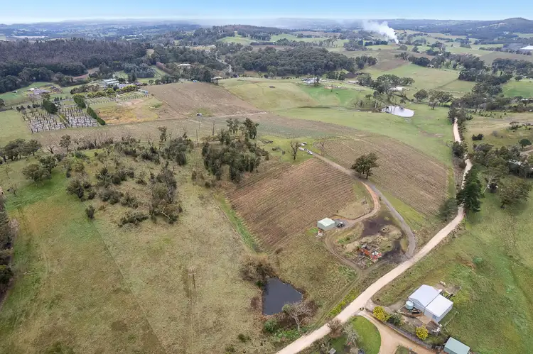Seventh view of Homely rural property listing, 53 Brettig Road, Lobethal SA 5241