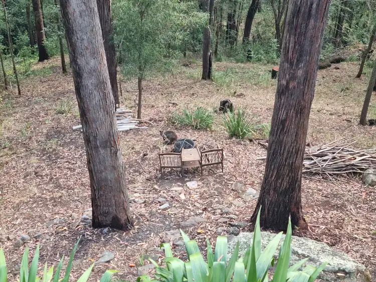 Main view of Homely house listing, 78 Bay View Avenue, East Gosford NSW 2250