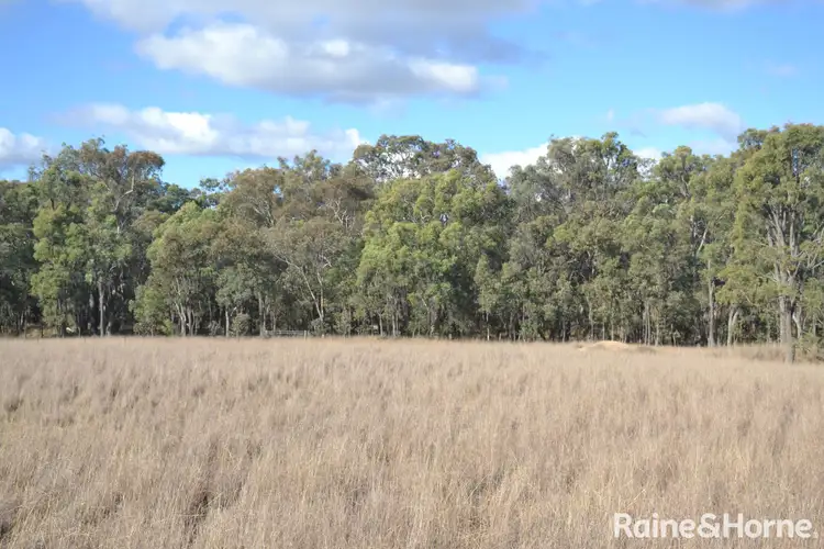 Third view of Homely house listing, 1539 Copeton Dam Road, Inverell NSW 2360