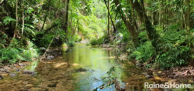 Fourth view of Homely house listing, 40 Fig Tree Road, COW BAY, Daintree QLD 4873