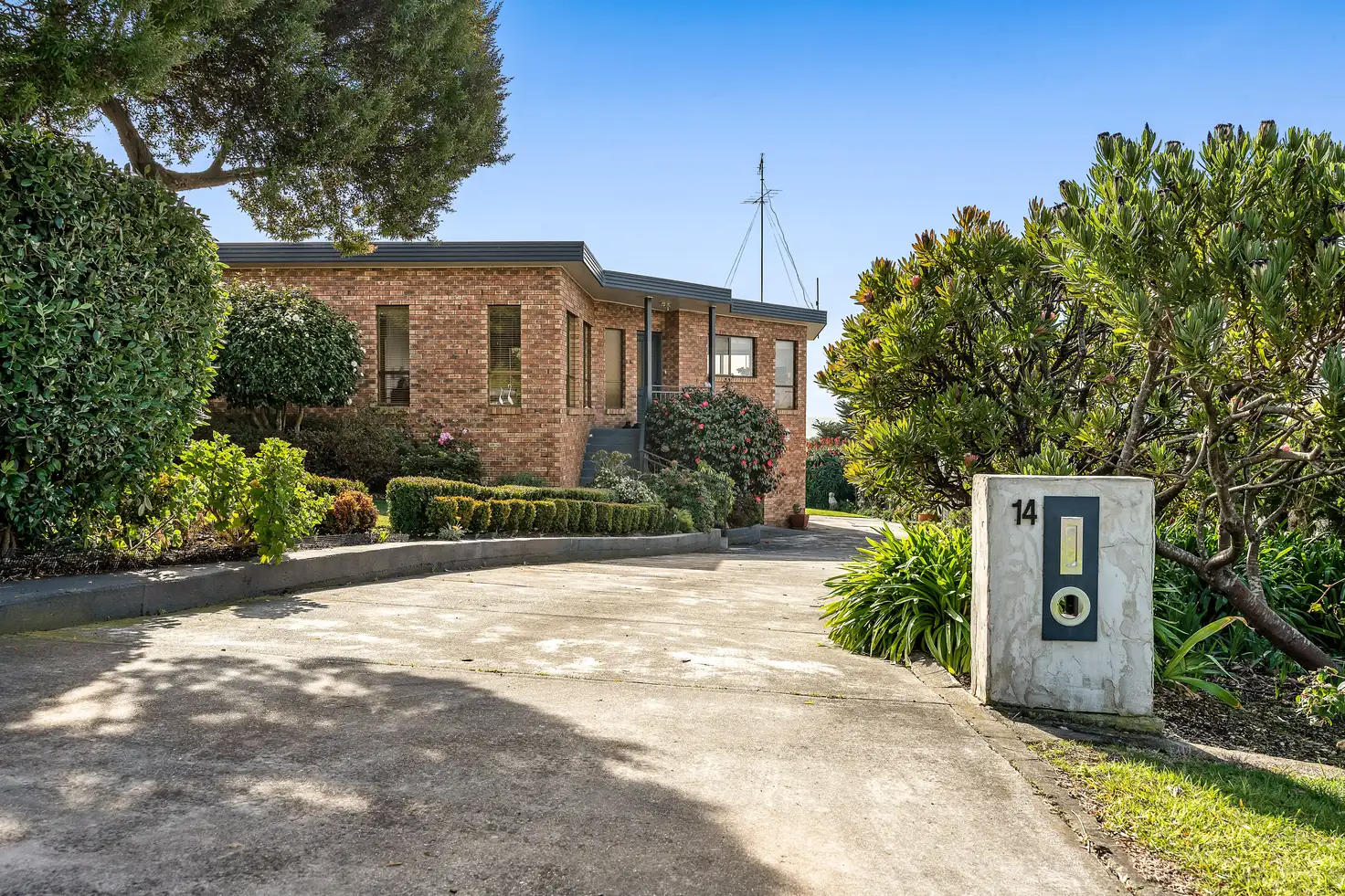 Main view of Homely house listing, 14 Frances Street, Bridport TAS 7262