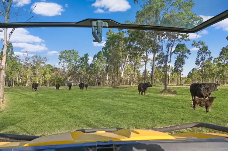 Fourth view of Homely rural property listing, 124 Sanctuary Road, Hervey Range QLD 4817