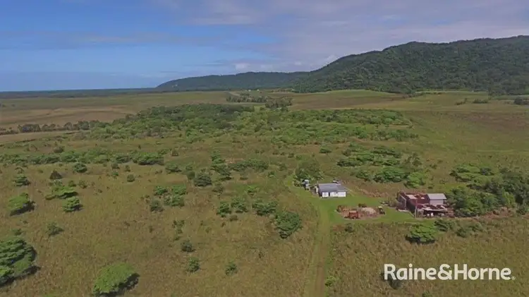 110 Cape Tribulation Road, Lower Daintree QLD 4873