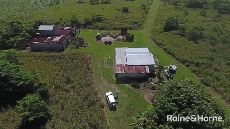 Second view of Homely house listing, 110 Cape Tribulation Road, Lower Daintree QLD 4873