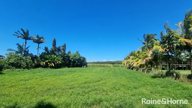 Fifth view of Homely land listing, 39 McDowall Lane, Lower Daintree QLD 4873