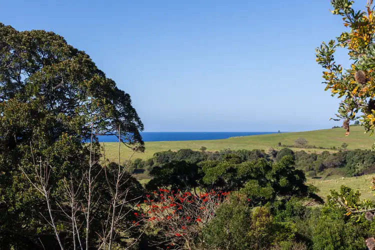 Fourth view of Homely house listing, 8 Attunga Avenue, Kiama Heights NSW 2533