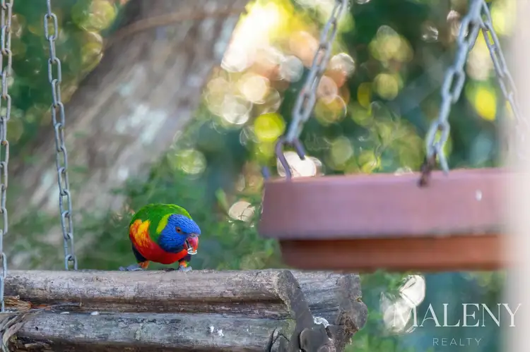 Fifth view of Homely house listing, 7 Koala Court, Witta QLD 4552