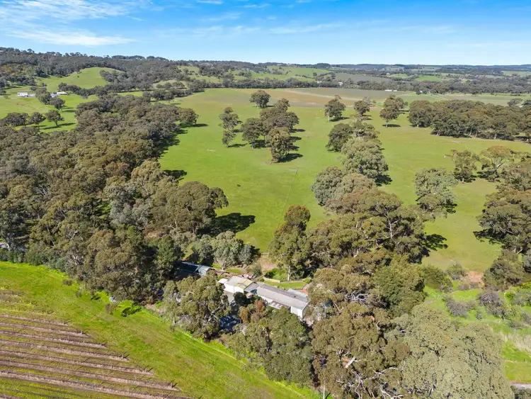 Third view of Homely house listing, 90 Truscott Road, Mclaren Vale SA 5171