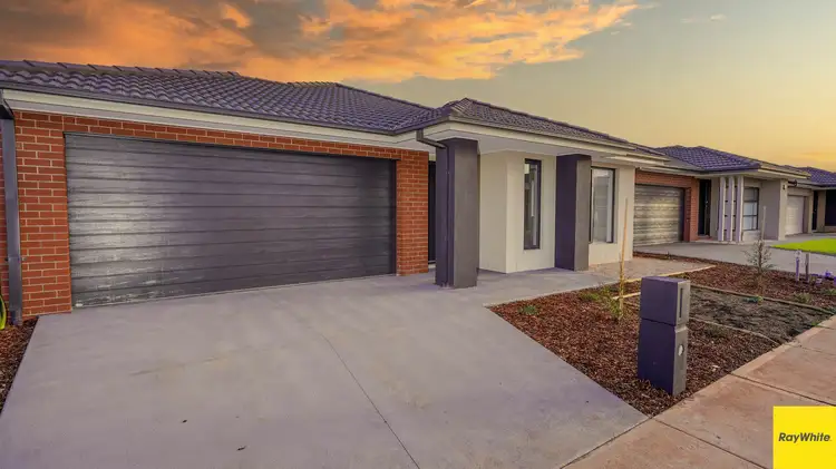 Second view of Homely house listing, 7 Ivory Street, Cobblebank VIC 3338