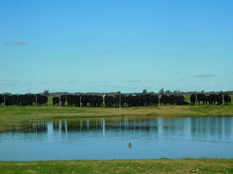 62 Jarratts lane, Hay NSW 2711