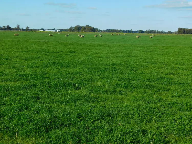 Fourth view of Homely land listing, 62 Jarratts lane, Hay NSW 2711