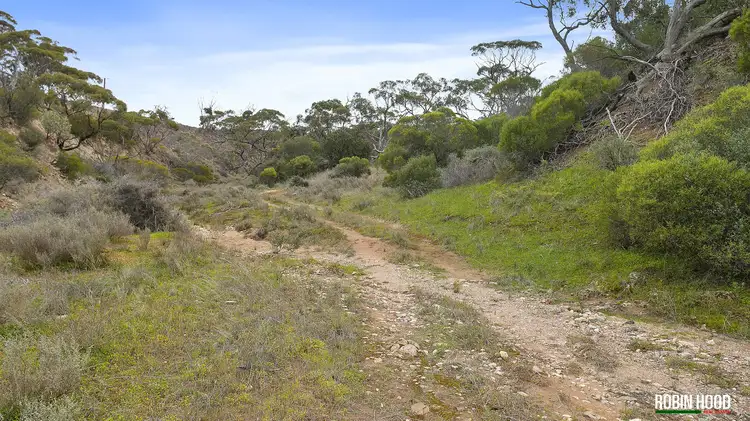 Third view of Homely house listing, 255 Birdseye Highway, Cowell SA 5602