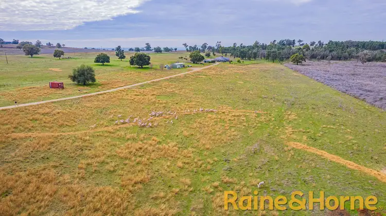 309 Whiteleys Lane, Maryvale NSW 2820