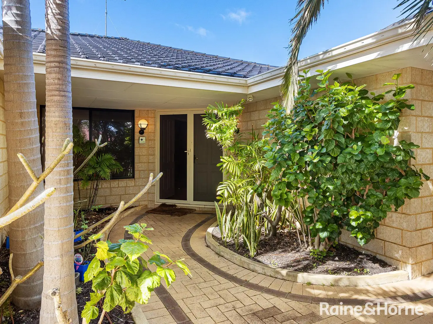 Main view of Homely house listing, 5 Beagle Court, Falcon WA 6210