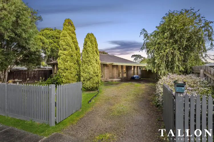 Main view of Homely house listing, 14 Muriel Street, Crib Point VIC 3919