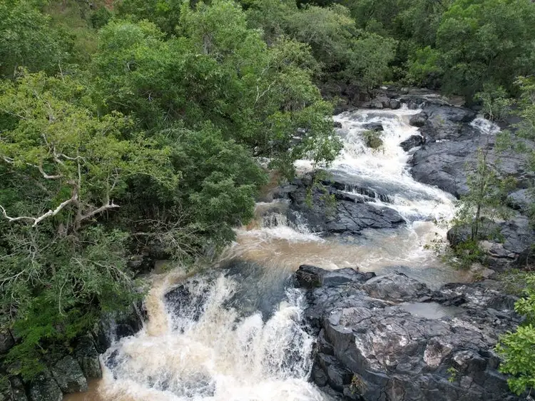 Seventh view of Homely rural property listing, 2356 Mulligan Highway, Cooktown QLD 4895