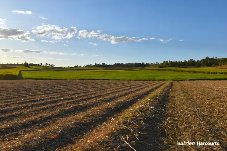 Main view of Homely rural property listing, 13 Burridges Road, Mcilwraith QLD 4671