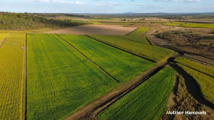 Second view of Homely rural property listing, 13 Burridges Road, Mcilwraith QLD 4671