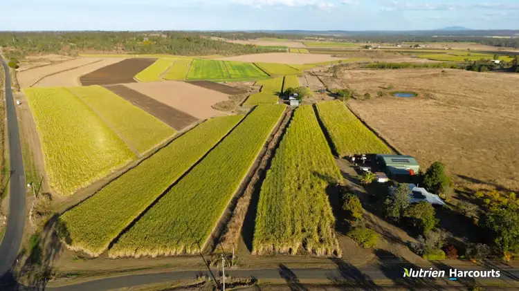 Third view of Homely rural property listing, 13 Burridges Road, Mcilwraith QLD 4671