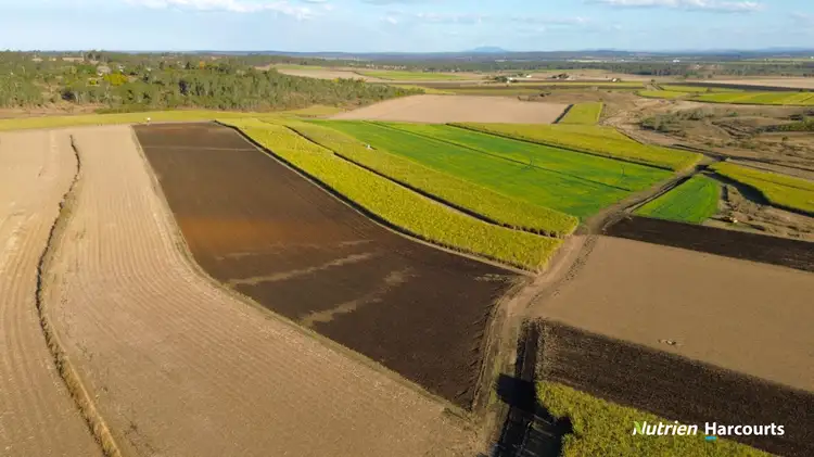 Fourth view of Homely rural property listing, 13 Burridges Road, Mcilwraith QLD 4671