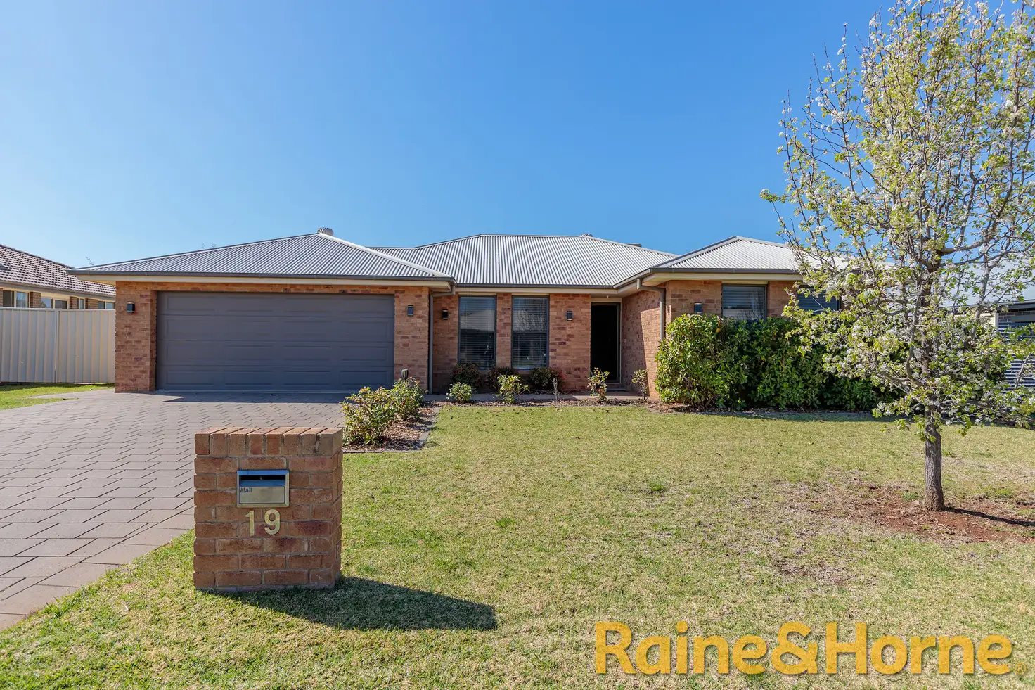 Main view of Homely house listing, 19 Timgarlen Avenue, Dubbo NSW 2830