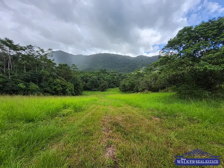 Sixth view of Homely rural property listing, Lot 1 Ellis Road, Bellenden Ker QLD 4871