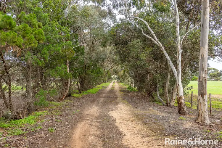 Second view of Homely house listing, 673 Langhorne Creek Road, Strathalbyn SA 5255