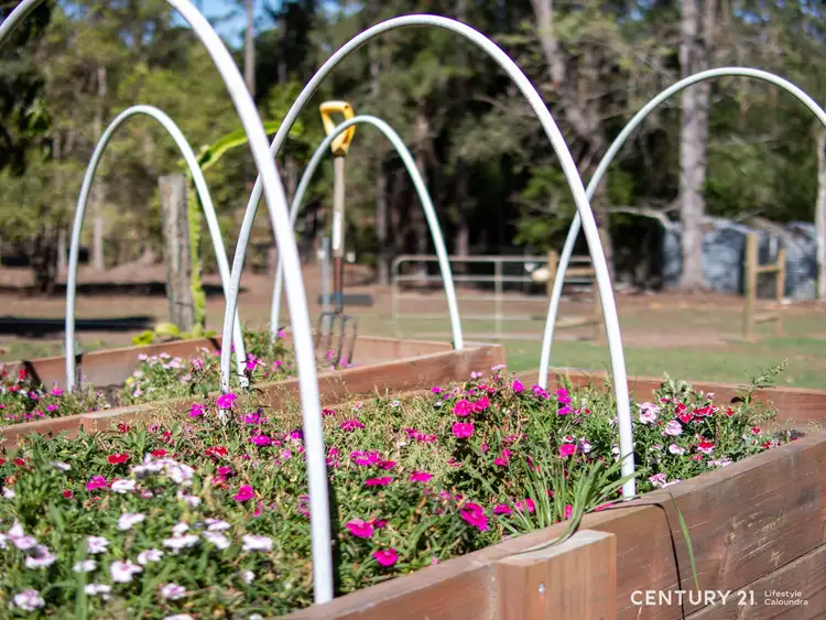 Third view of Homely house listing, 212 Bald Knob Road, Peachester QLD 4519