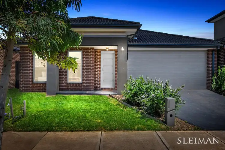 43 Oaky Crescent, Cobblebank VIC 3338