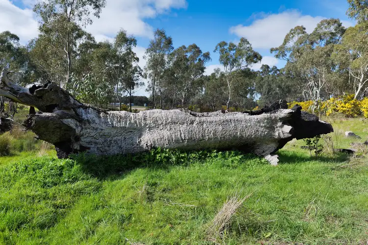 Fifth view of Homely rural property listing, Lot 14 Saw Pit Flat Road, Ararat VIC 3377