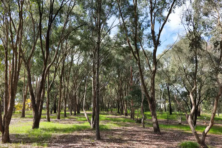 Fourth view of Homely land listing, Lot 2 Burke Road, Ararat VIC 3377
