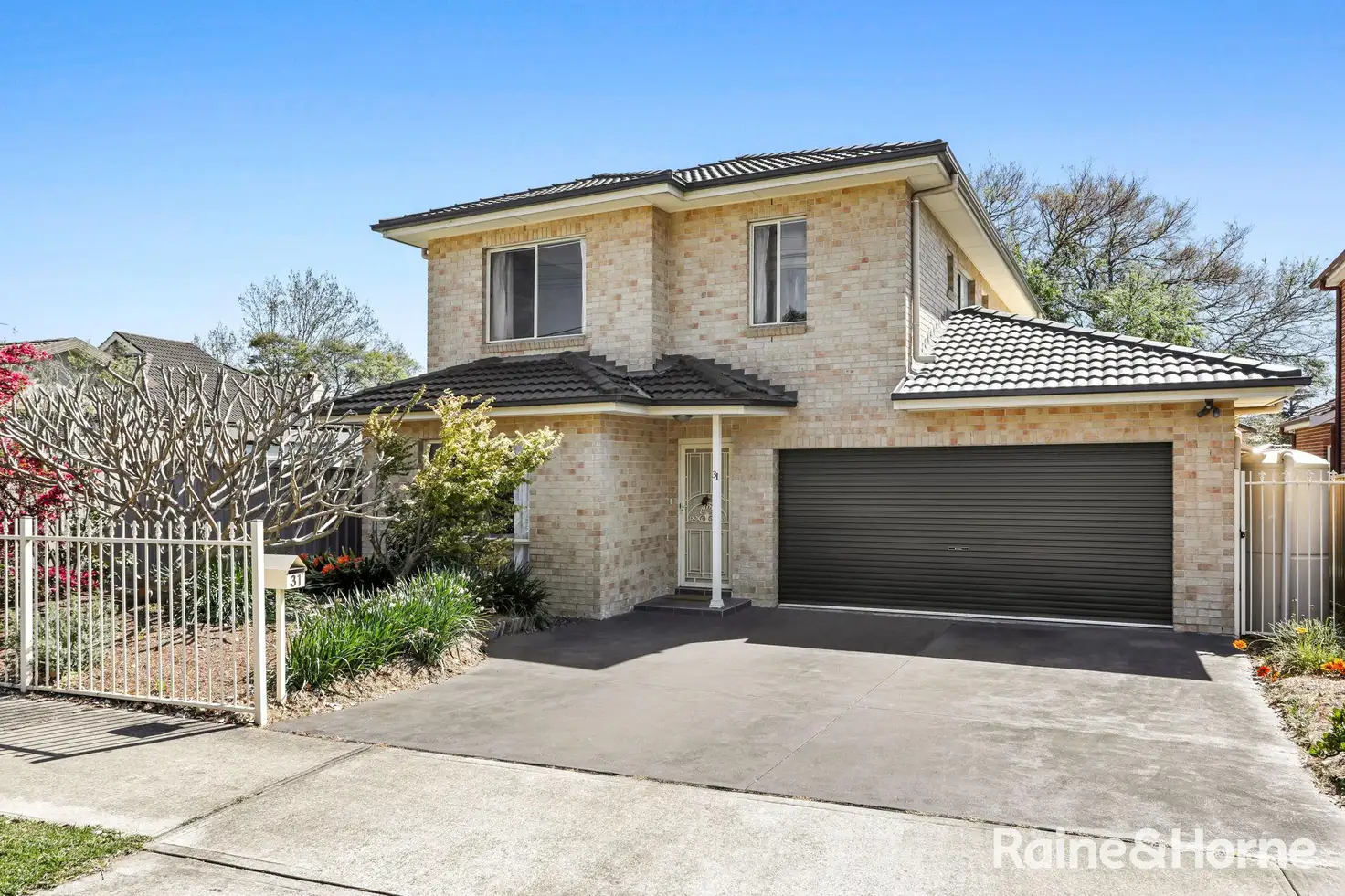 Main view of Homely house listing, 31 Barnsbury Grove, Bexley North NSW 2207