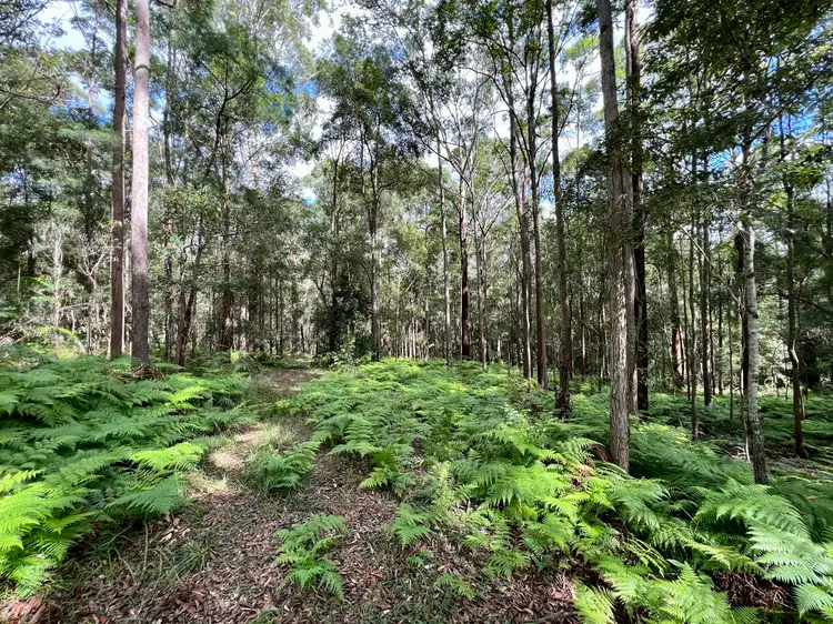 LOT 8, 475 Verrierdale Rd, Verrierdale QLD 4562