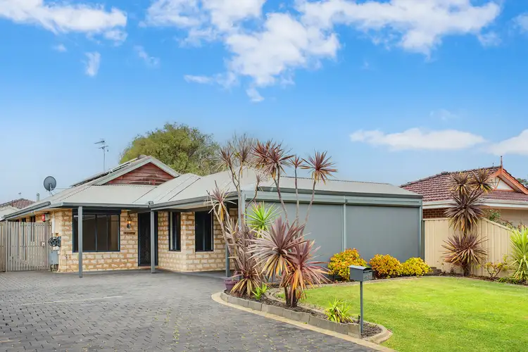 Main view of Homely house listing, 1/41 Kittyhawk Grove, Geographe WA 6280