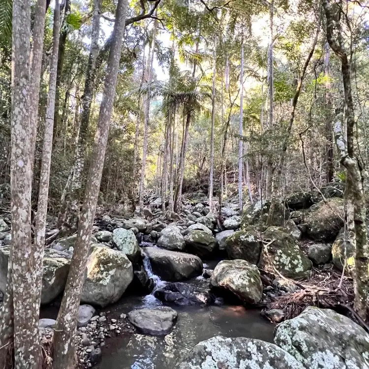 Second view of Homely land listing, 13 Jaraman Place, Boyland QLD 4275