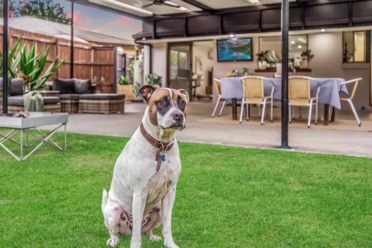 Sixth view of Homely house listing, 12-16 Franklin Street, Canungra QLD 4275