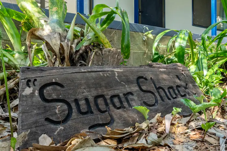 Second view of Homely house listing, 54 New Brighton Road, New Brighton NSW 2483