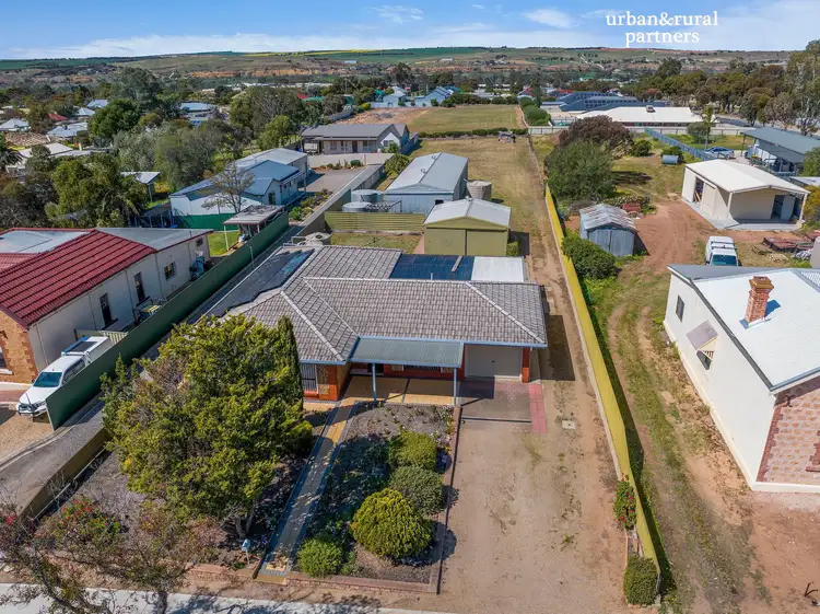 Main view of Homely house listing, 42 Berryman Avenue, Mannum SA 5238