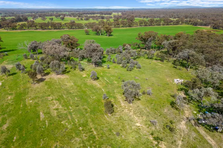 Third view of Homely house listing, 168 Kennelly Road, Eppalock VIC 3551