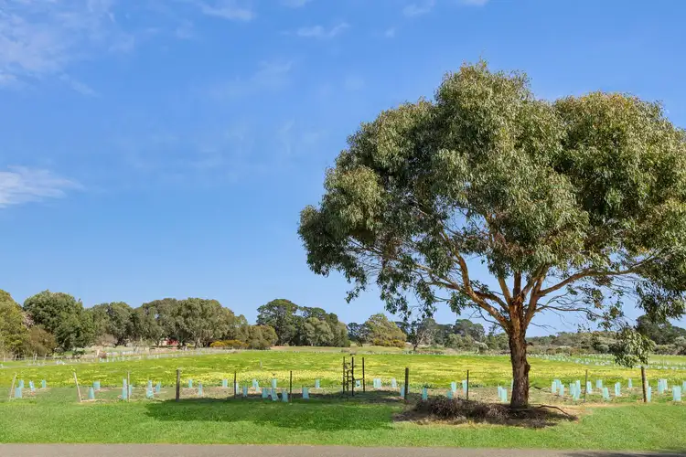 8-13 Lomas Place, Wallington VIC 3222