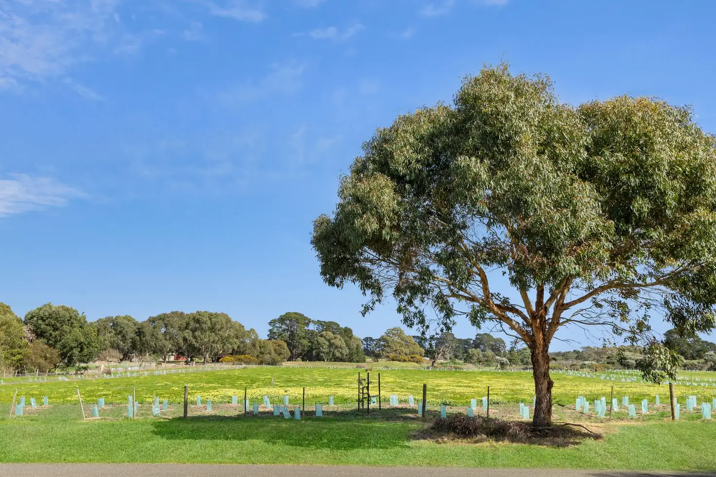 Main view of Homely land listing, 8-13 Lomas Place, Wallington VIC 3222